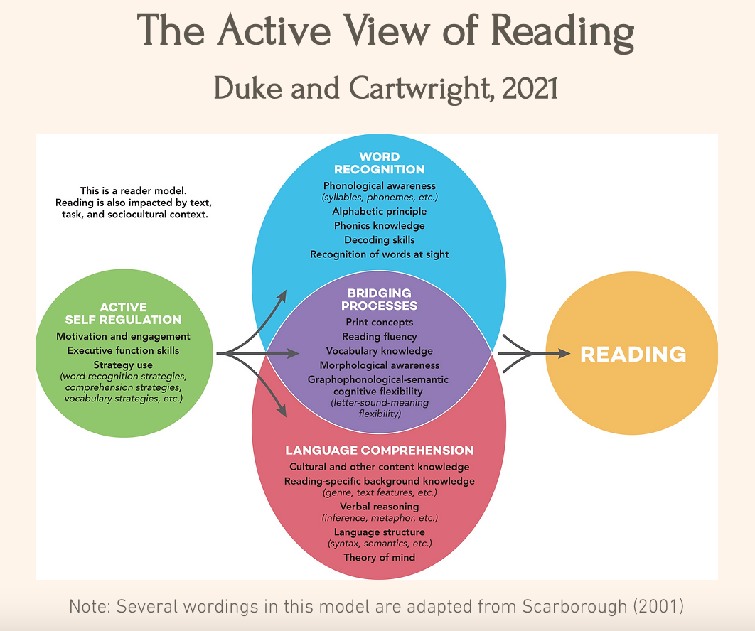 Active View Of Reading Model