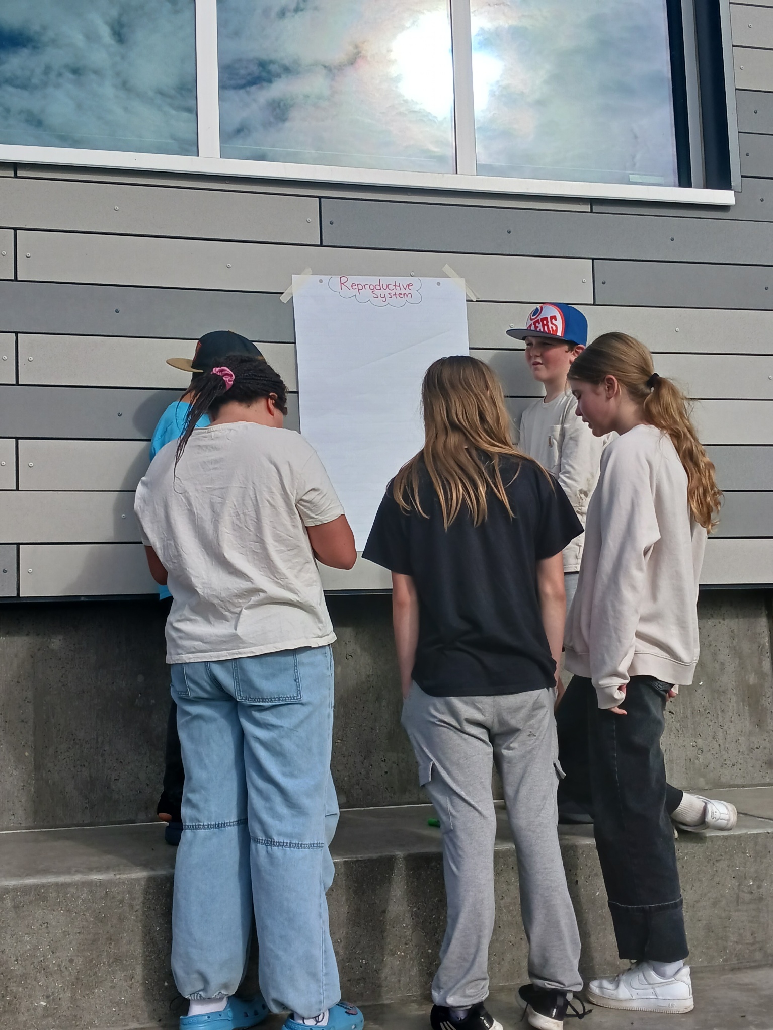 Middle Years BX Inquiry