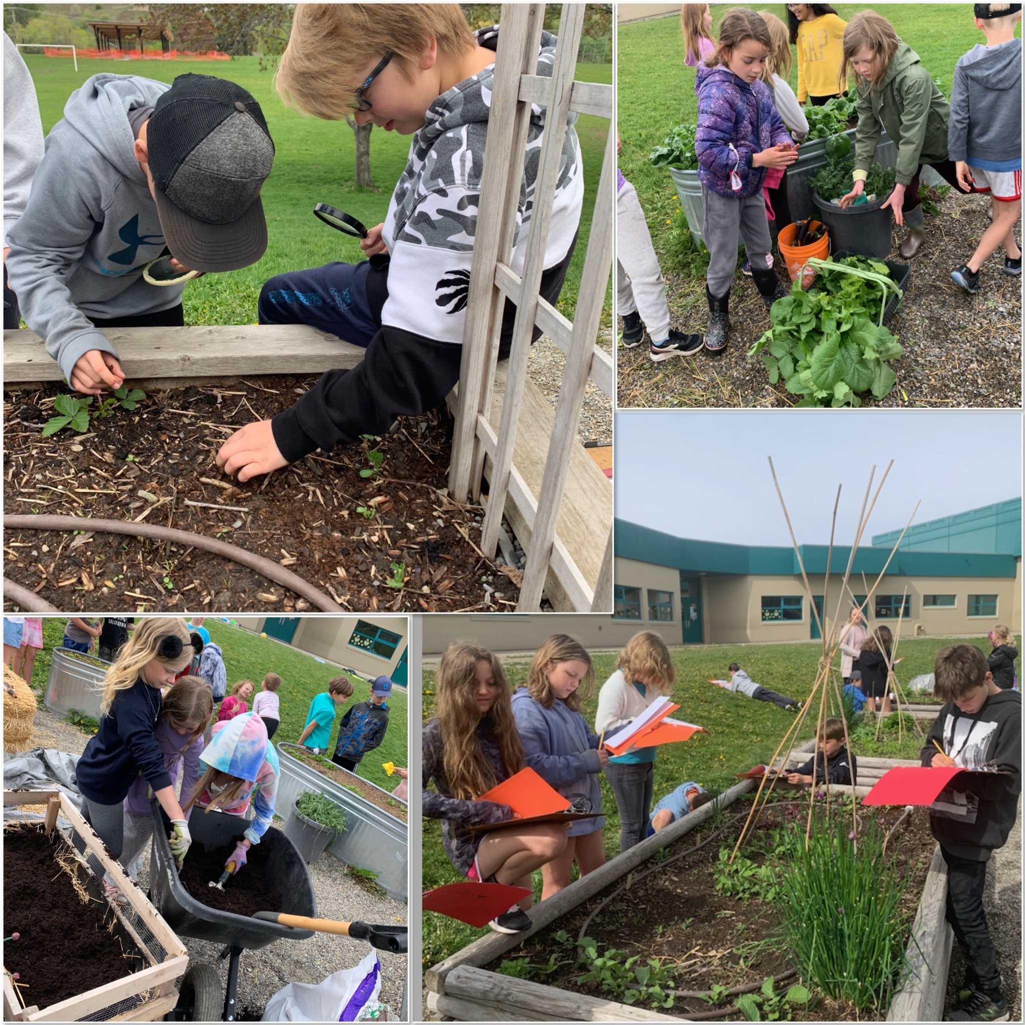 Kidston Garden to Plate 2